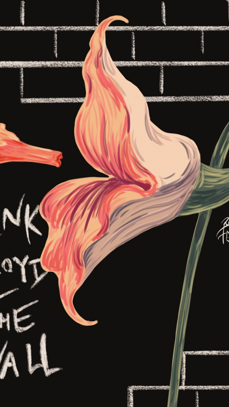 Обои Pink Floyd, Берлинская стена, пустые помещения, Что Же Нам Теперь Делать, цветок в разрешении 750x1334