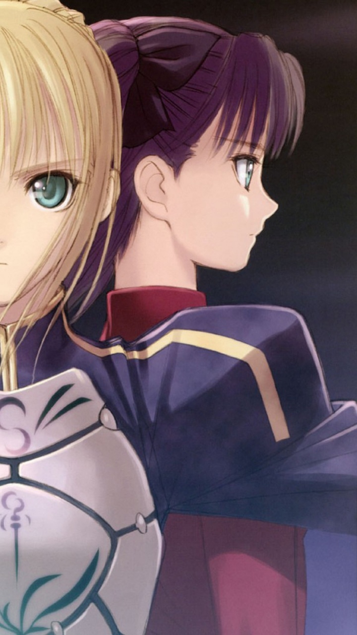 Обои сабля, эмия Широ, длинные волосы, Илия фон айнцберн, fatestay ночь в разрешении 720x1280