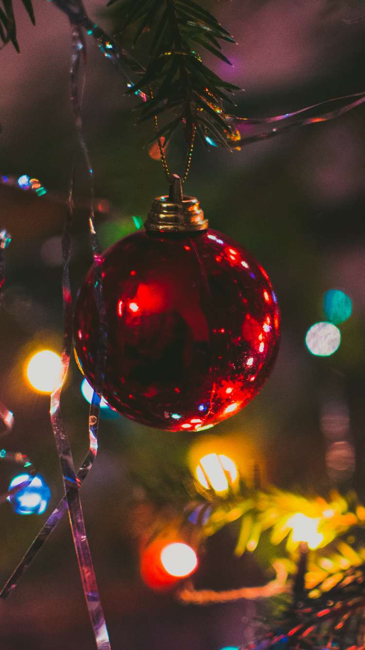 Обои Рождественский день, елка, Рождественские огни, рождественский орнамент, свет в разрешении 750x1334