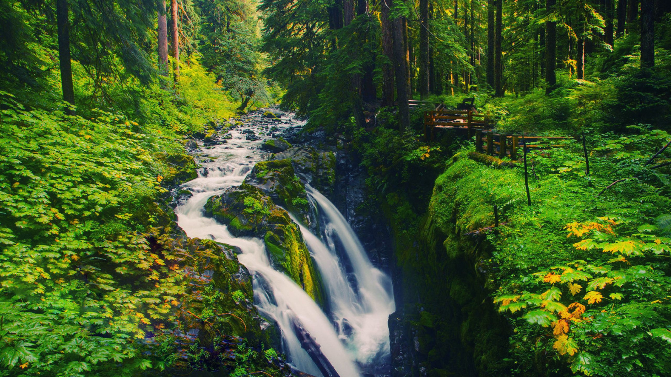 Обои Национальный Олимпийский парк соль дык падает, Дык Соль-Фолс, Река Соля Дык, водопад, парк в разрешении 2560x1440