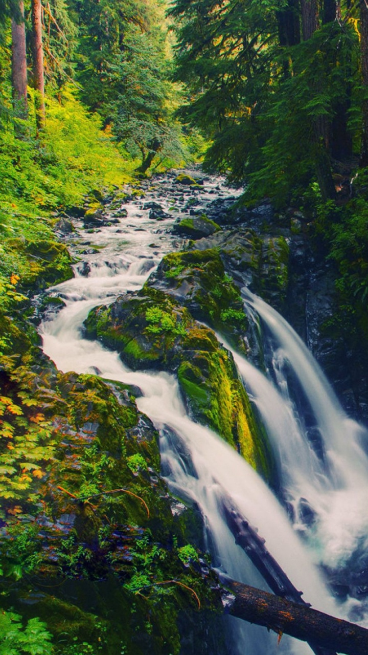 Обои Национальный Олимпийский парк соль дык падает, Дык Соль-Фолс, Река Соля Дык, водопад, парк в разрешении 720x1280