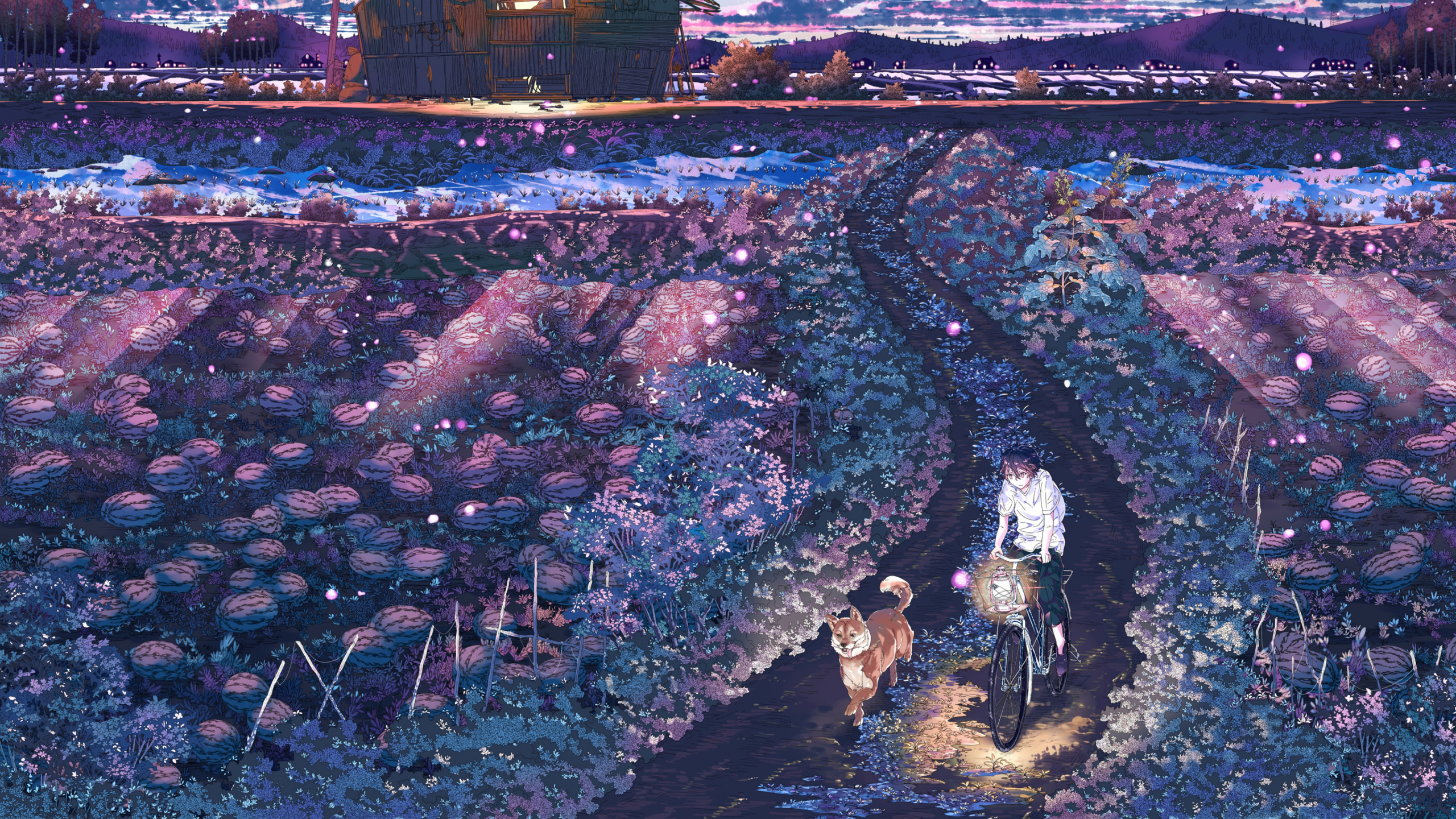 Обои город, лучник, арт, ночь, небо в разрешении 2560x1440