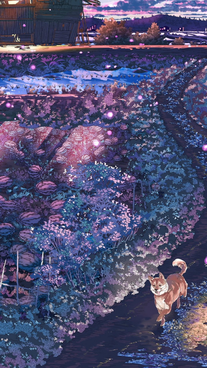 Обои город, лучник, арт, ночь, небо в разрешении 720x1280