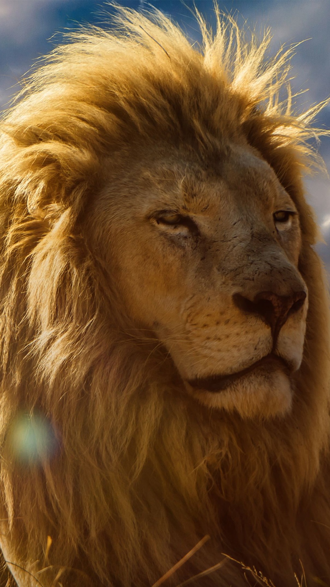 Обои Лев, природа, масаи Лев, кошачьих, наземные животные в разрешении 1080x1920