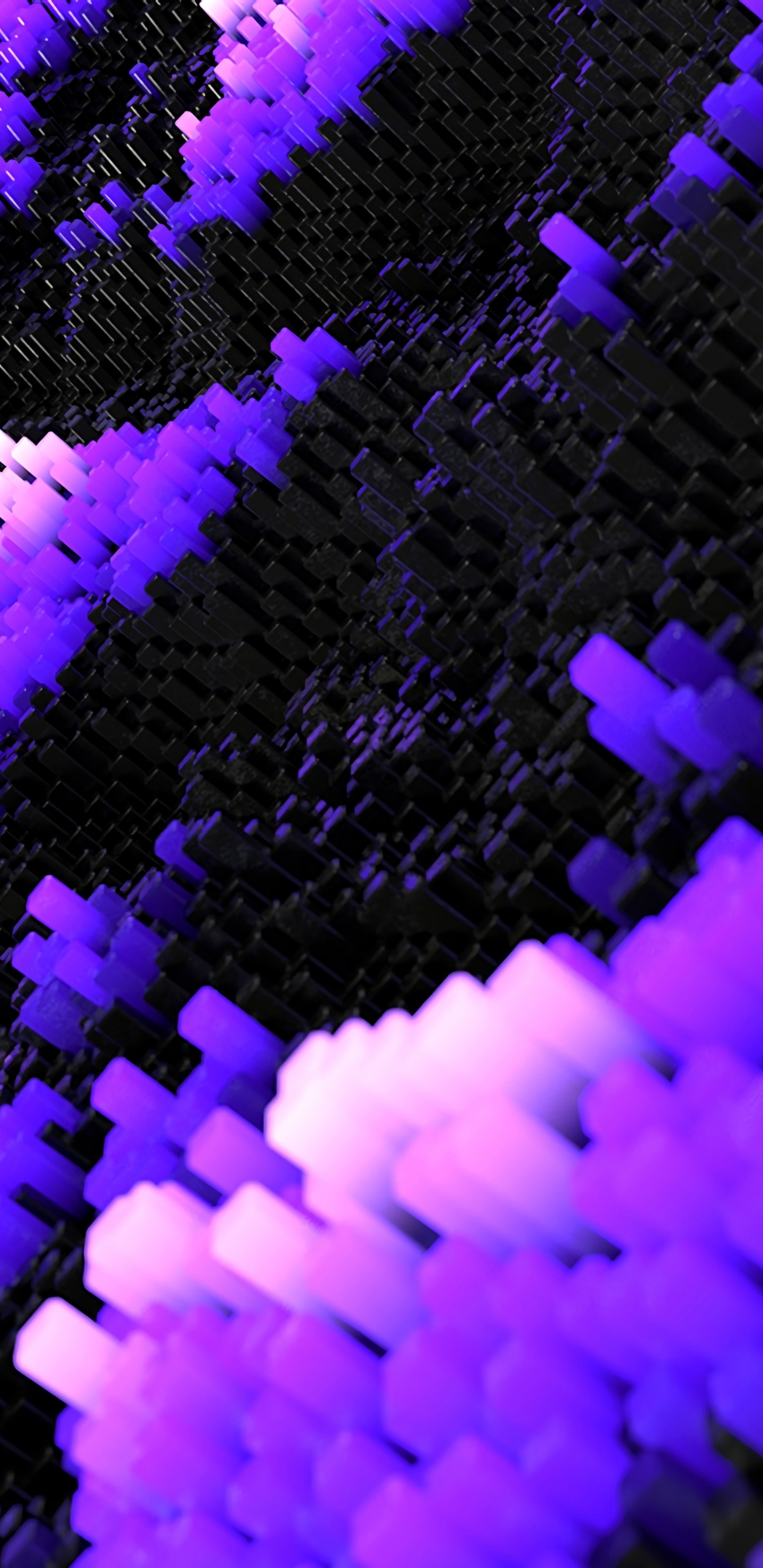 Обои Фиолетовый, пурпур, синий, лаванда, сирень в разрешении 1440x2960