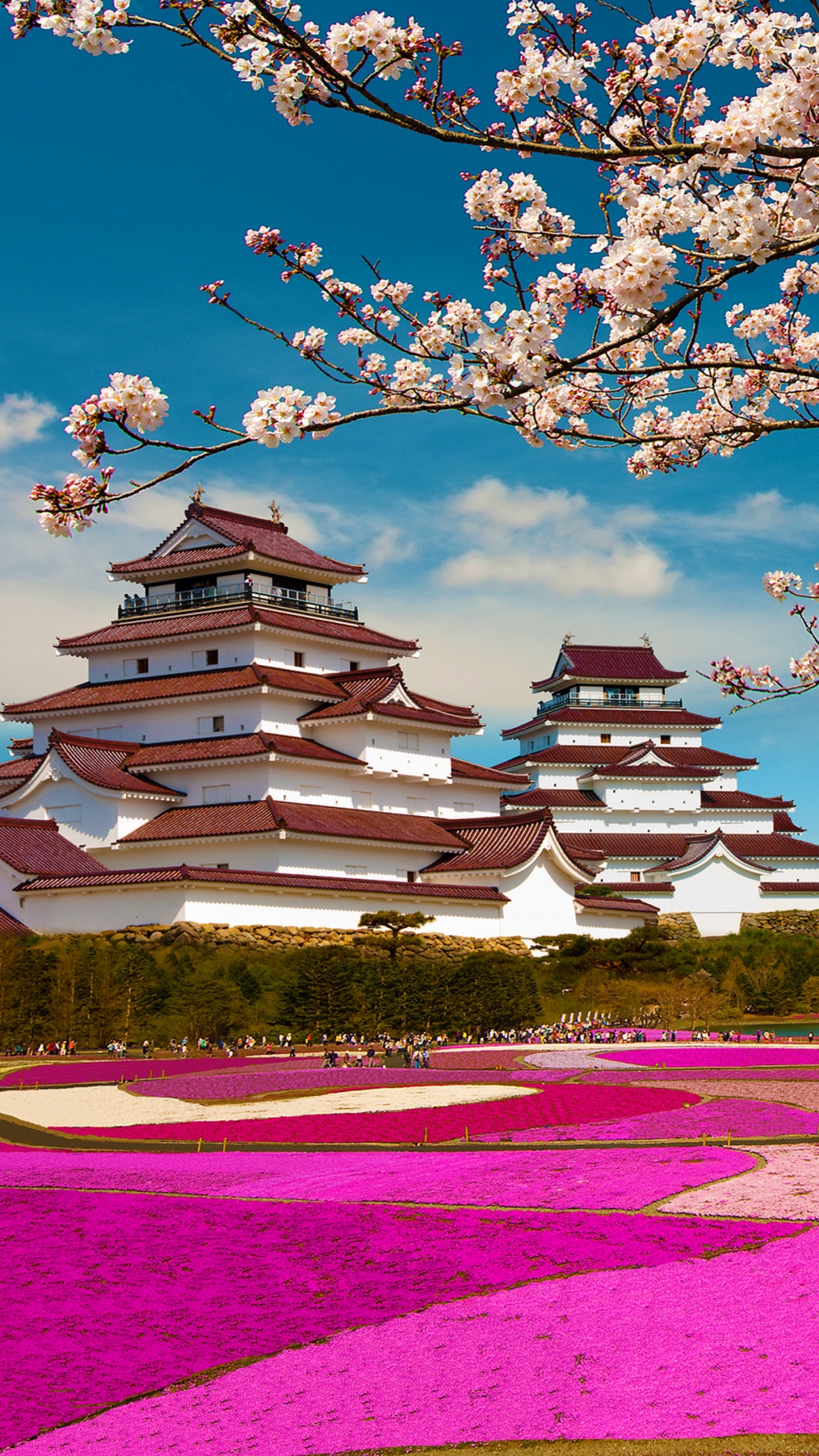 Обои гора Фудзи, цветение вишни, цветок, весна, дерево в разрешении 1080x1920