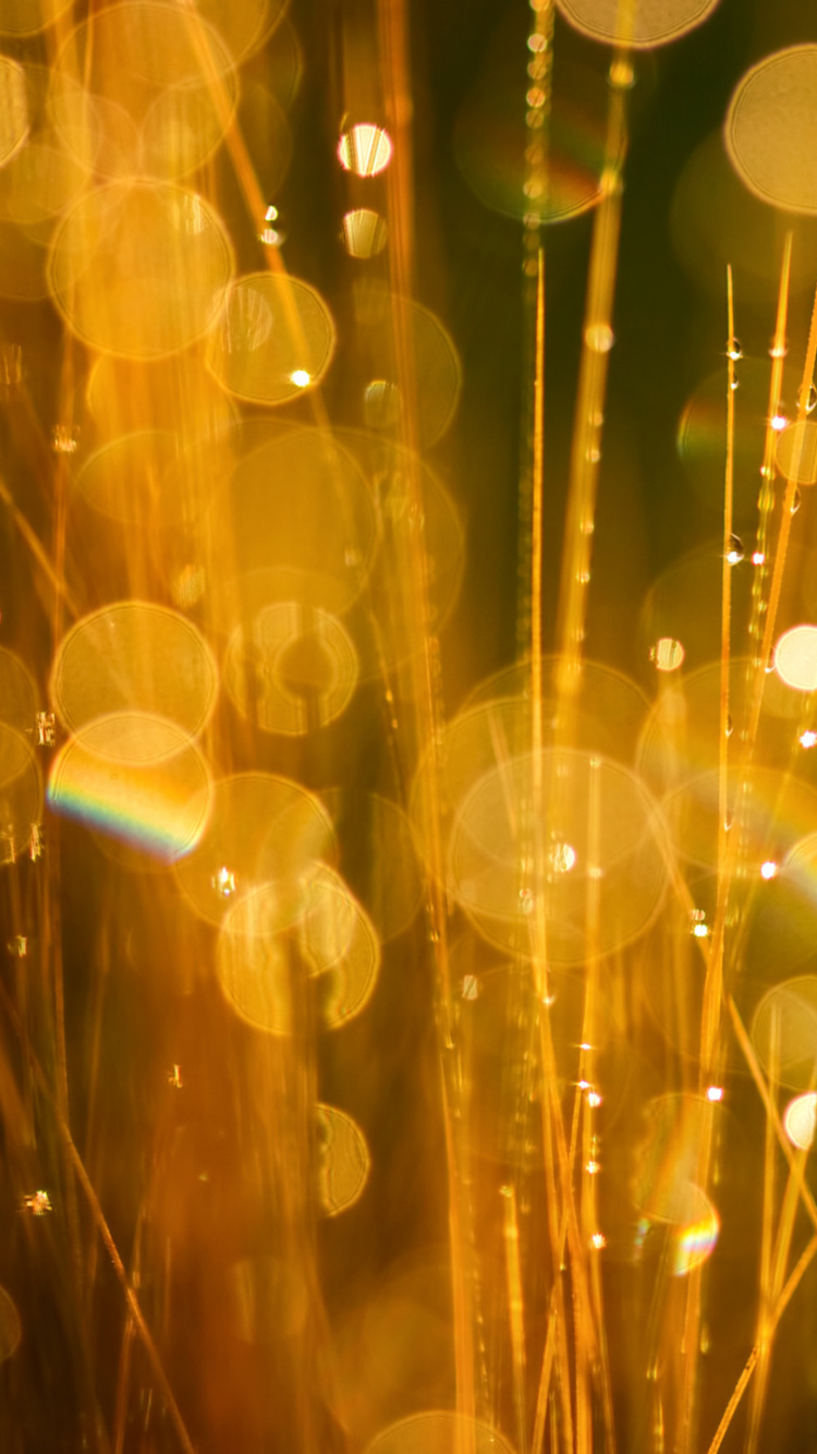 Обои боке, желтый, свет, вода, освещение в разрешении 750x1334