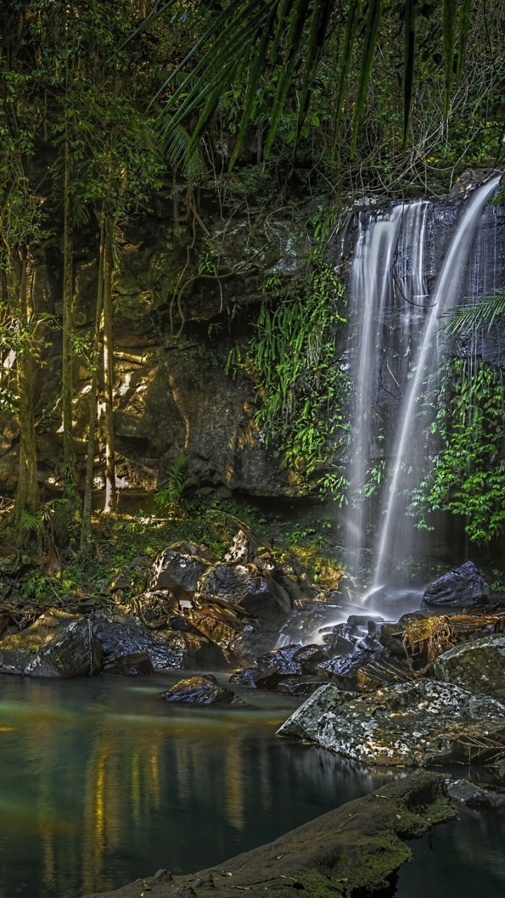 Обои водопад, водоем, гидроресурсы, природа, природный заповедник в разрешении 720x1280