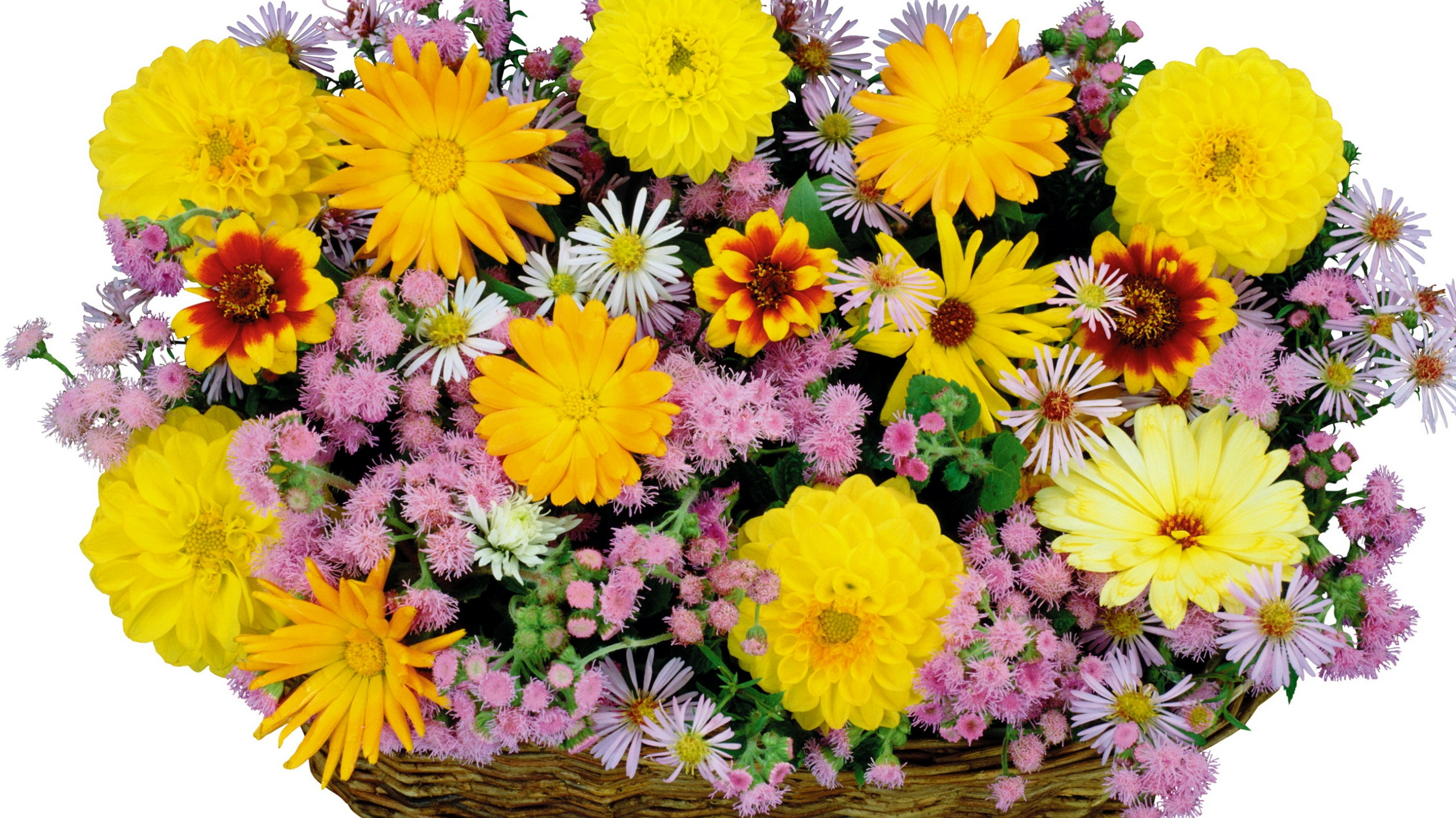 Обои корзина, цветочный букет, цветочный дизайн, флористика, Роза в разрешении 2560x1440