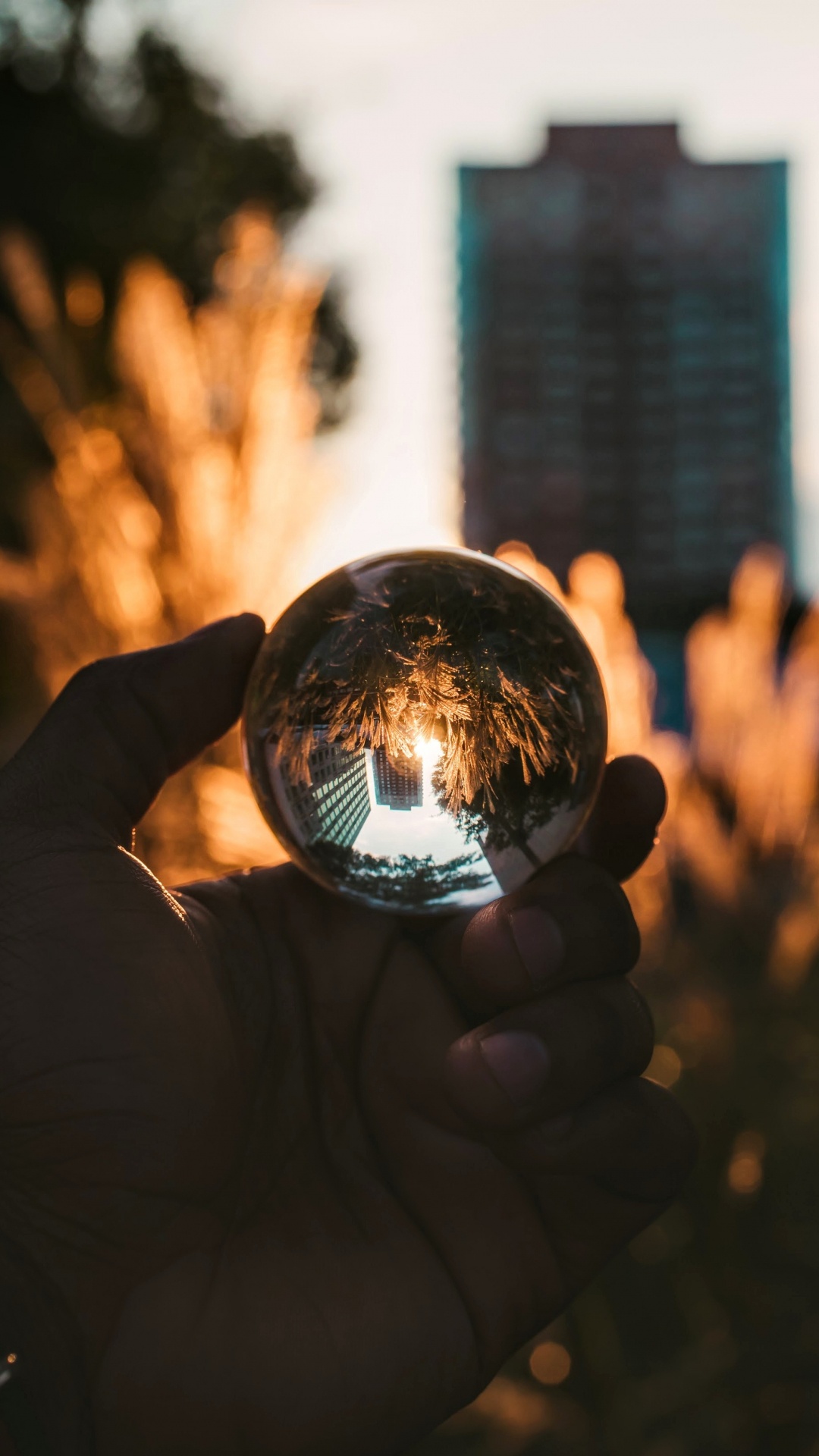 Обои свет, глаз, дерево, город, отражение в разрешении 1080x1920