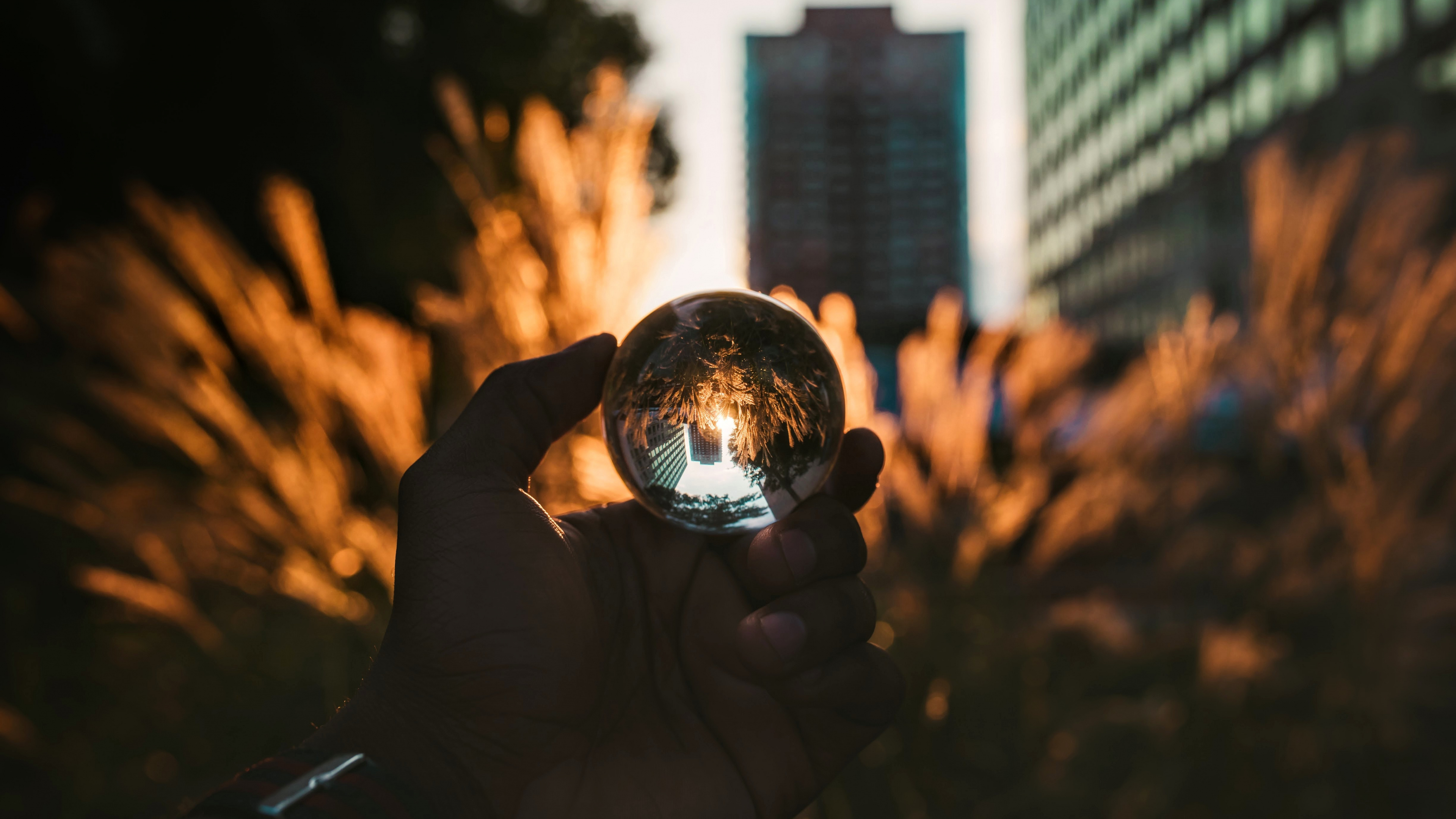 Обои свет, глаз, дерево, город, отражение в разрешении 3840x2160