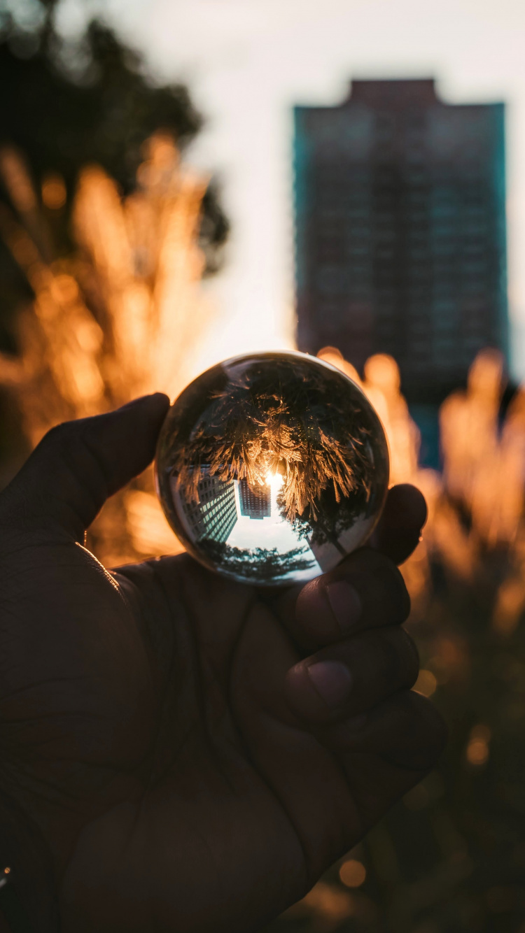 Обои свет, глаз, дерево, город, отражение в разрешении 750x1334