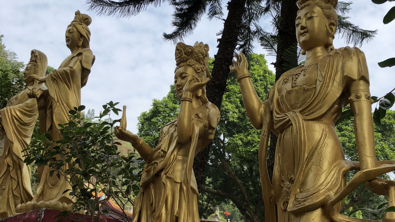 Обои статуя, Гаутама Будда, голова, природа, растительность в разрешении 1366x768