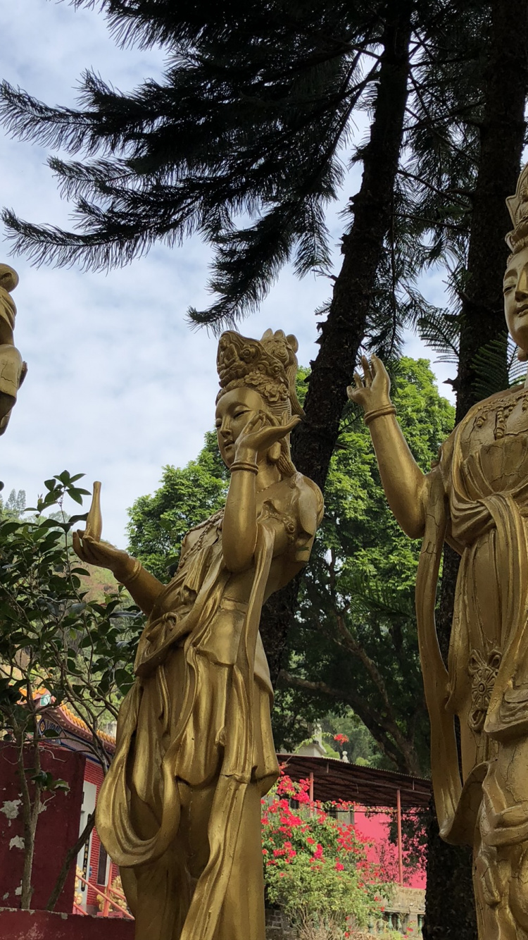 Обои статуя, Гаутама Будда, голова, природа, растительность в разрешении 750x1334