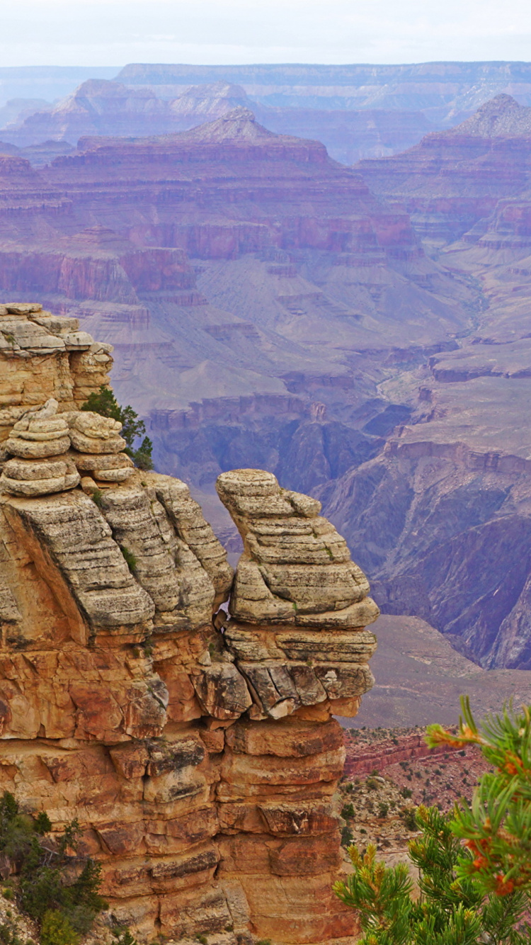 Обои национальный парк Гранд каньон, Гранд Каньон Виллидж, каньон, национальный парк, парк в разрешении 750x1334