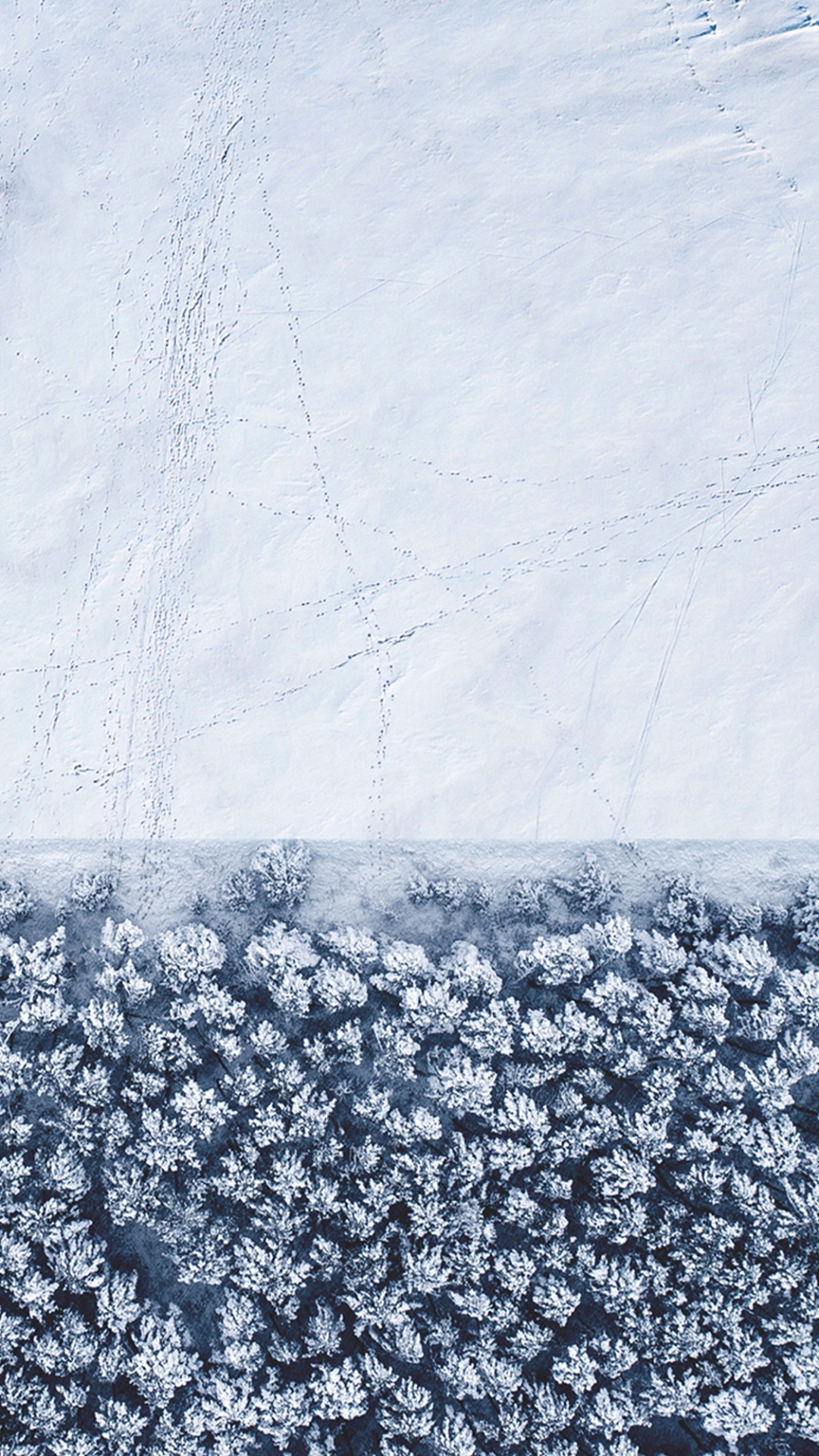 Обои apple, iPhone, iOS 14, iOS 14 DUAL, яблоко в разрешении 1080x1920