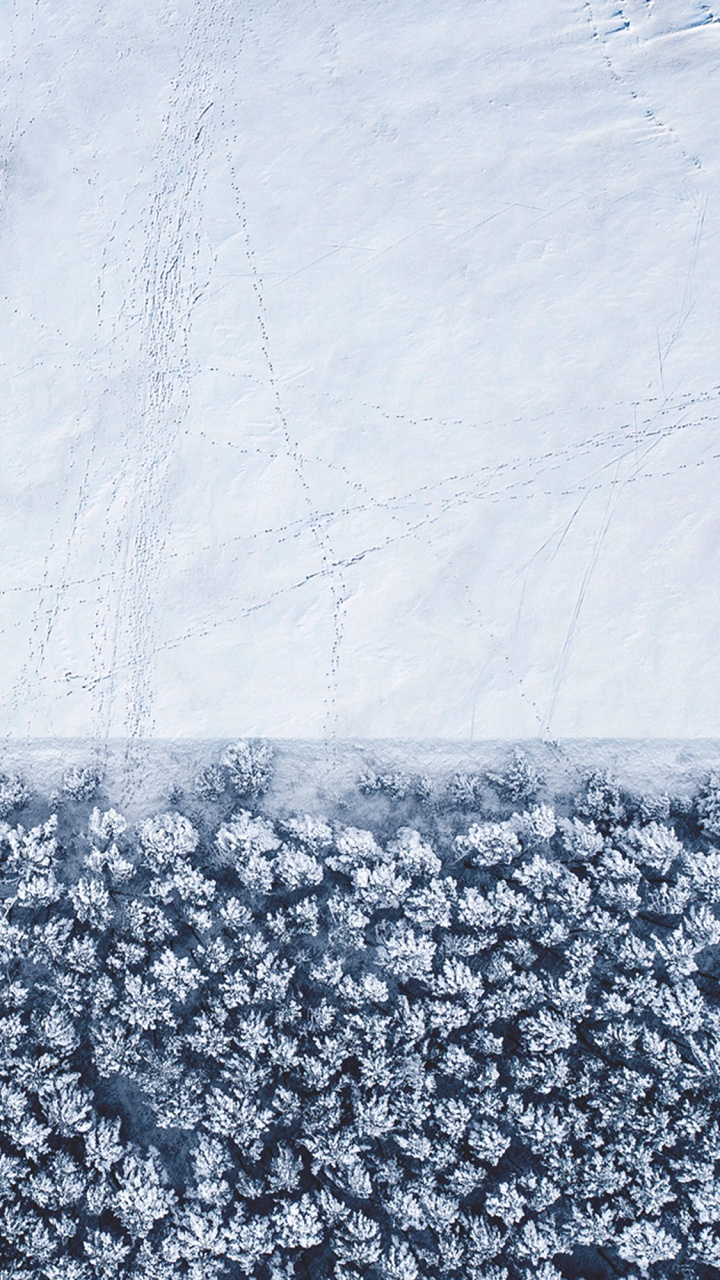 Обои apple, iPhone, iOS 14, iOS 14 DUAL, яблоко в разрешении 720x1280