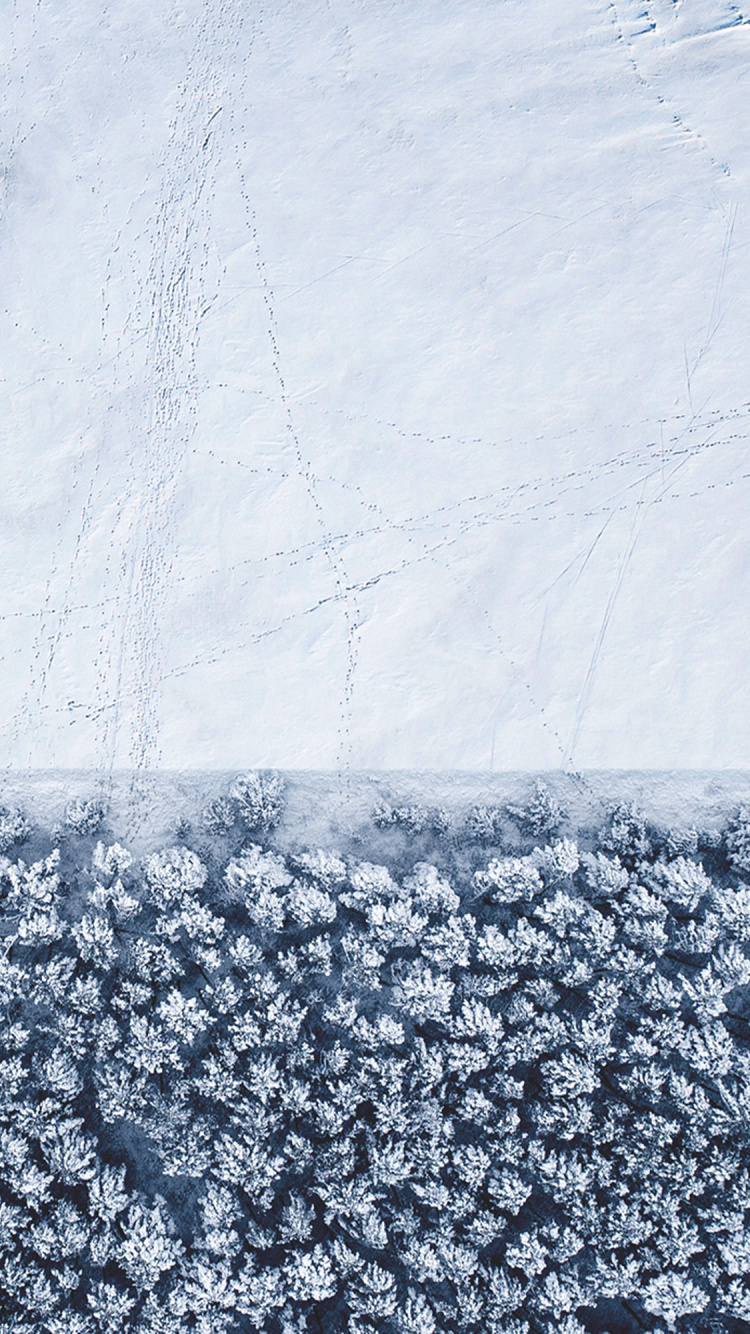 Обои apple, iPhone, iOS 14, iOS 14 DUAL, яблоко в разрешении 750x1334