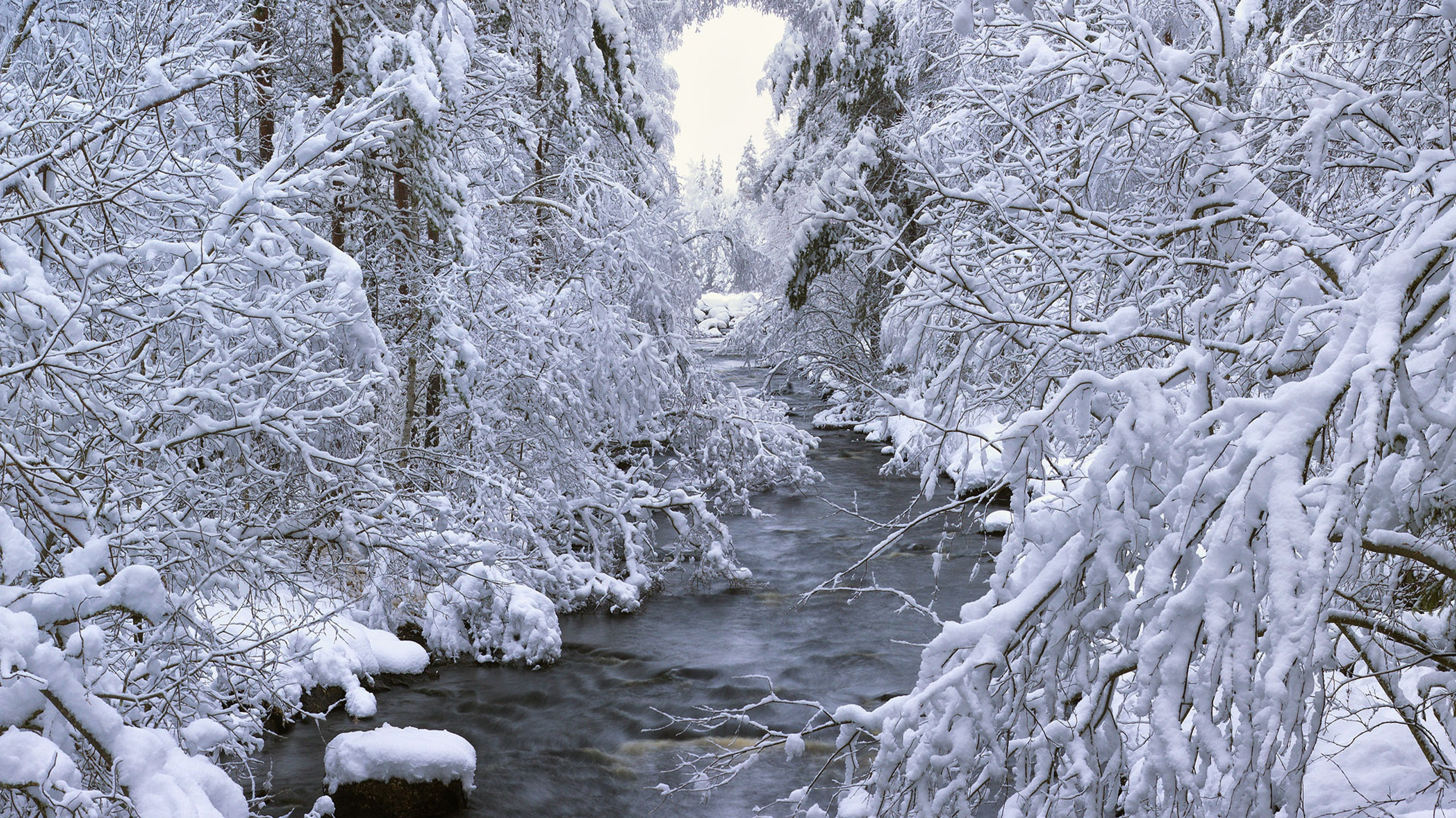 Обои зима, снег, вода, поток, мороз в разрешении 2560x1440