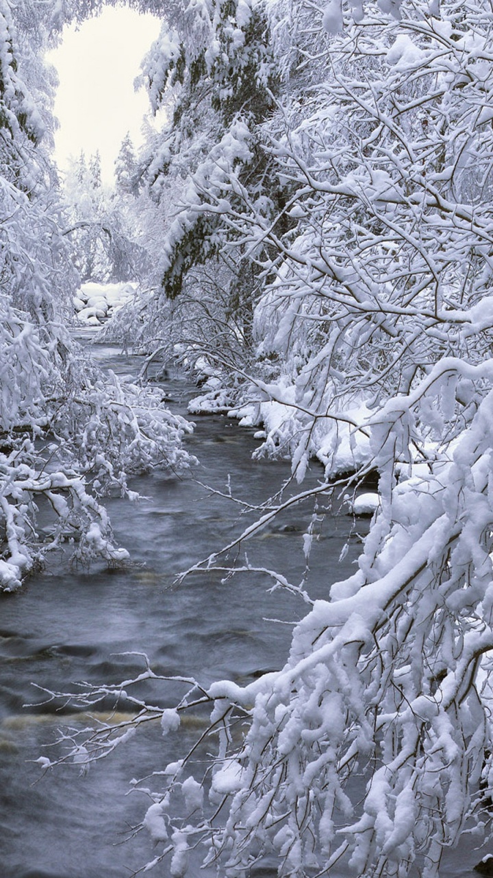 Обои зима, снег, вода, поток, мороз в разрешении 720x1280