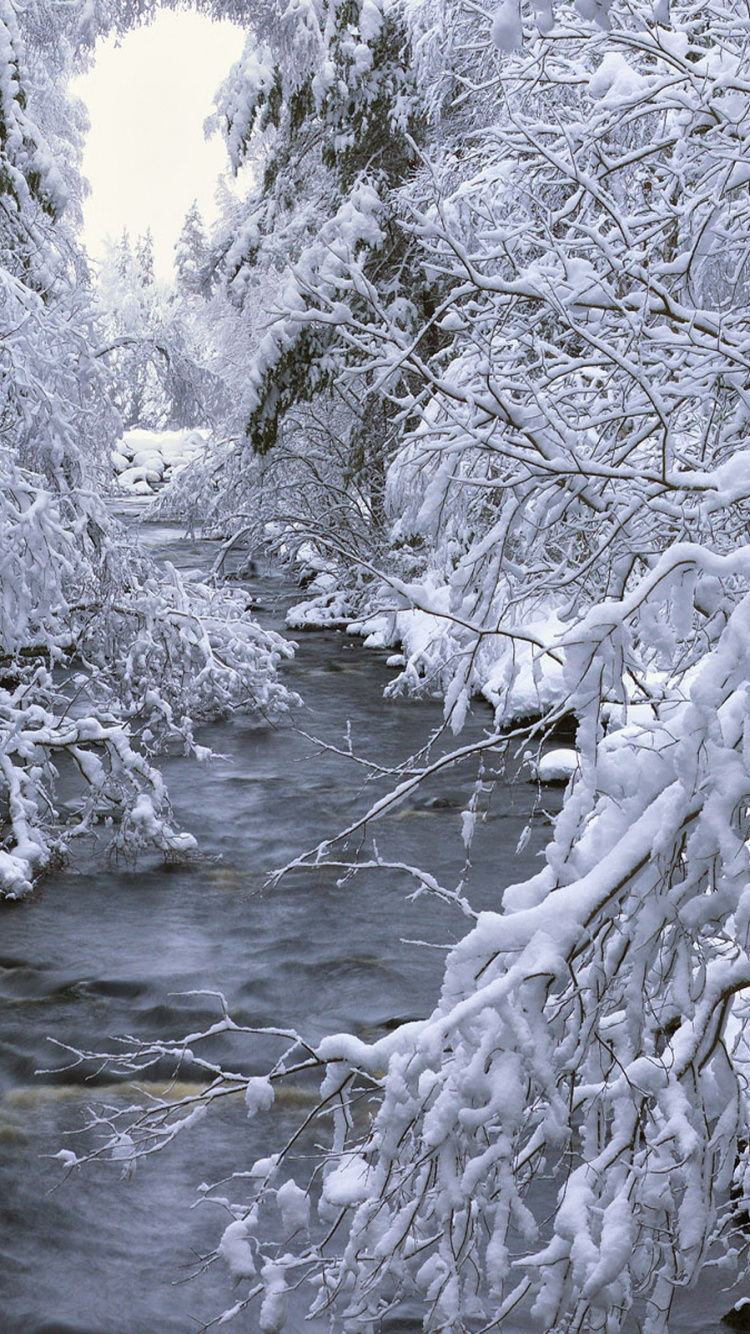 Обои зима, снег, вода, поток, мороз в разрешении 750x1334