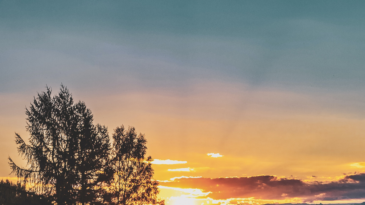 Обои облако, атмосфера, растение, экорегион, природный ландшафт в разрешении 1280x720