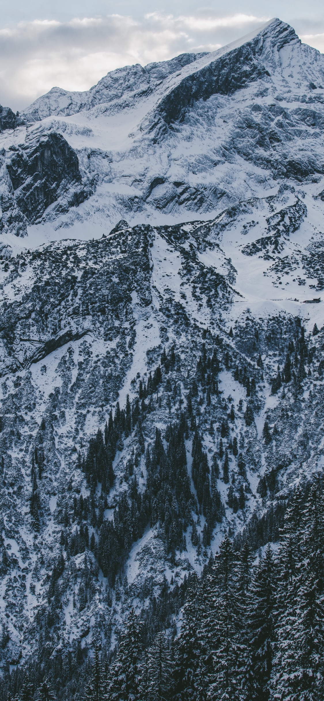 Обои снег, гора, горный хребет, массив, Милуоки в разрешении 1125x2436