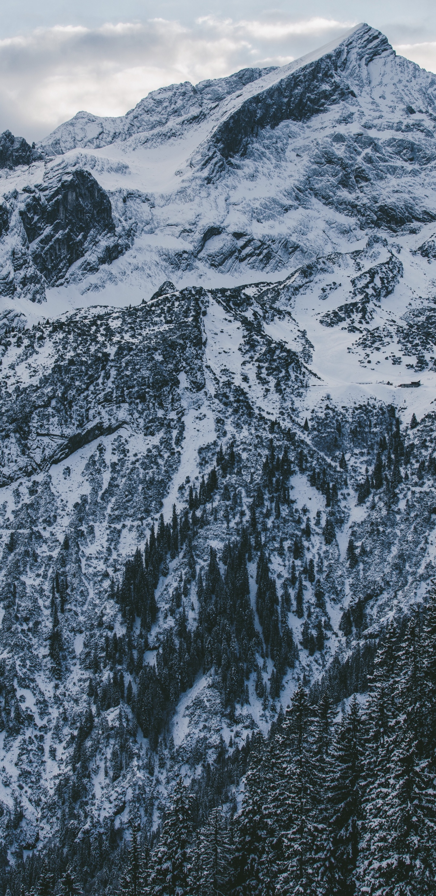 Обои снег, гора, горный хребет, массив, Милуоки в разрешении 1440x2960