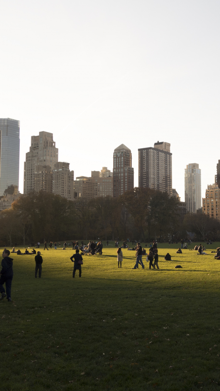 Обои Центральный парк, город, дневное время, линия горизонта, городской район в разрешении 750x1334