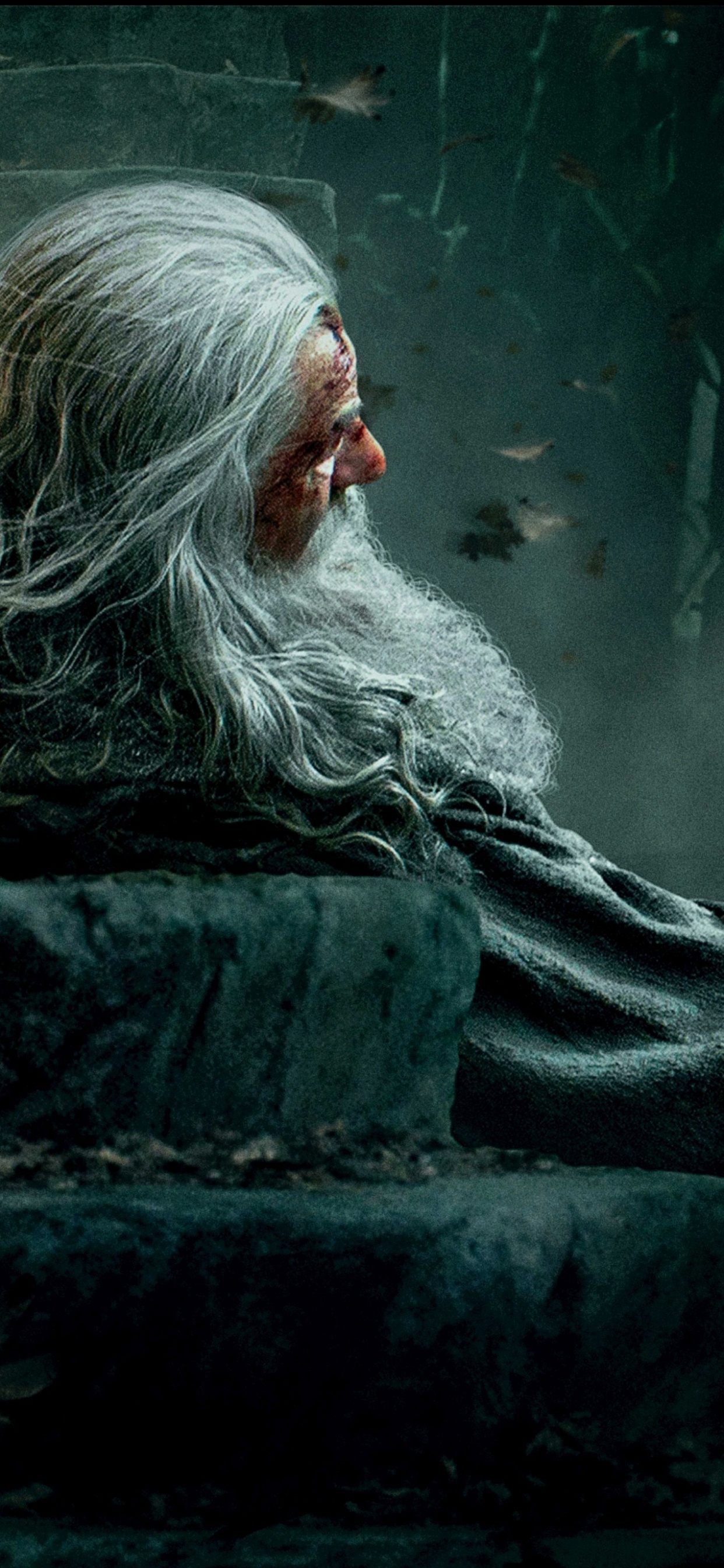 Обои Галадриэль, гендальф, Хоббит, Властелин Колец, человек в разрешении 1242x2688