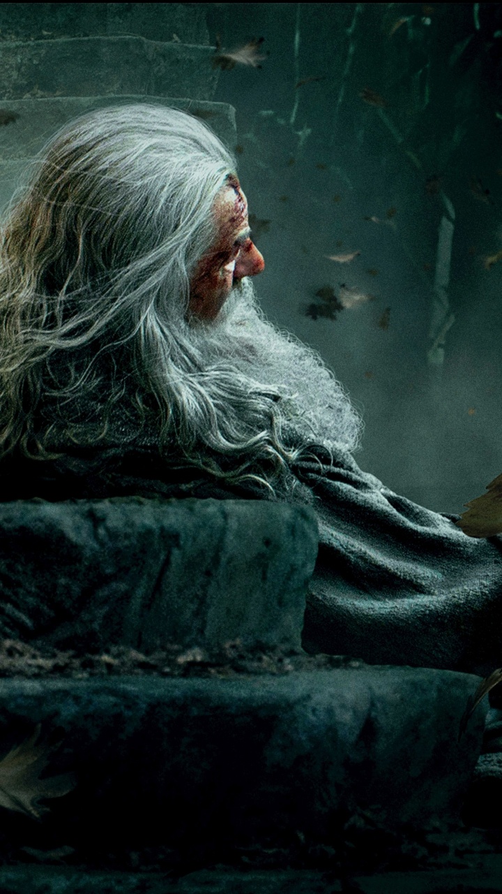 Обои Галадриэль, гендальф, Хоббит, Властелин Колец, человек в разрешении 720x1280