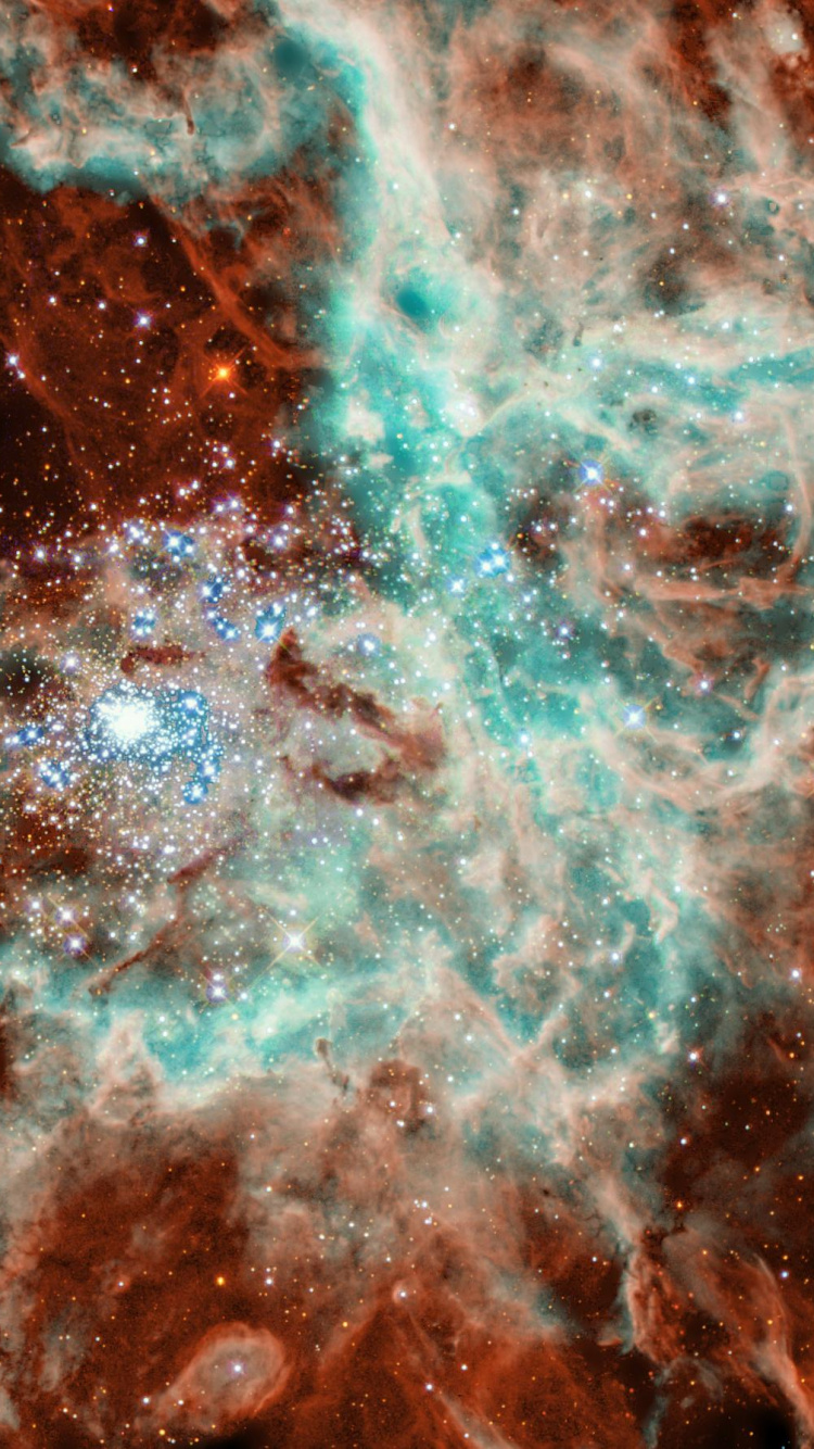 Обои Тарантул Туманность, космический телескоп Хаббл, туманность, звездообразование, космос в разрешении 750x1334