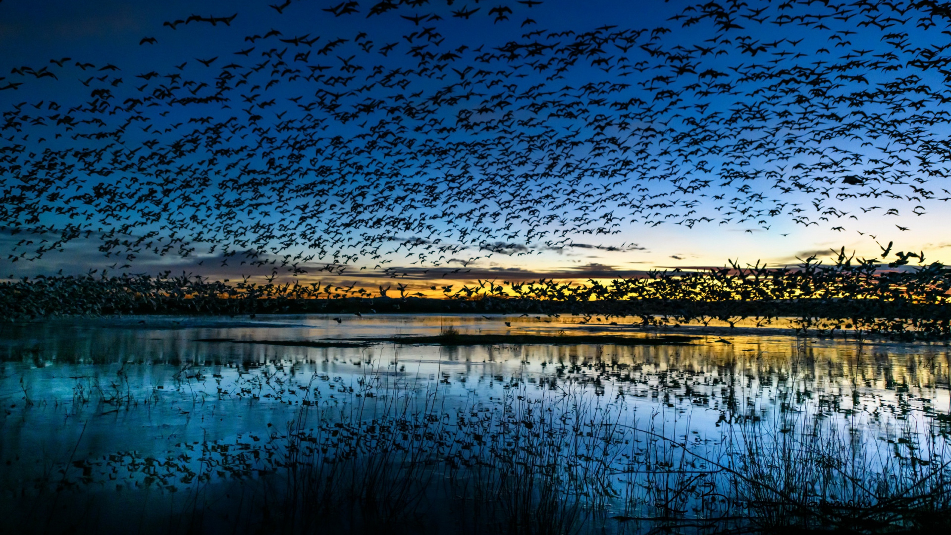 Обои природа, синий, вода, отражение, природный ландшафт в разрешении 1920x1080