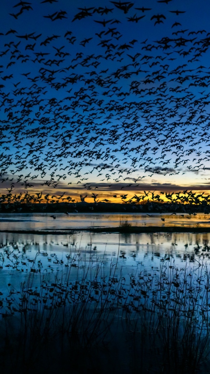 Обои природа, синий, вода, отражение, природный ландшафт в разрешении 720x1280