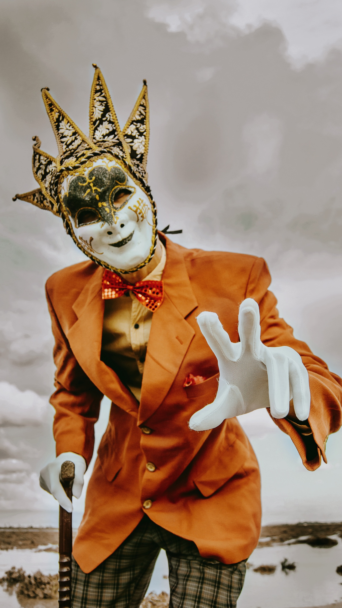 Обои иллюстрация, костюм, клоун, головной убор, арт в разрешении 1440x2560