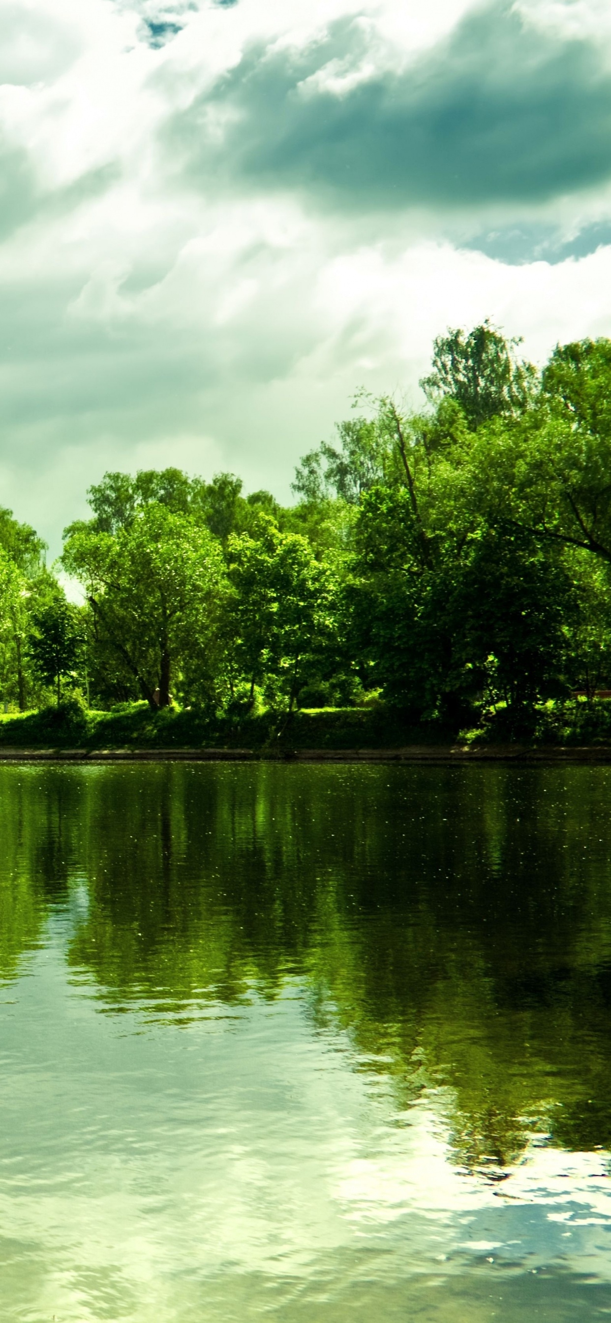 Обои природа, отражение, зеленый, вода, дерево в разрешении 1242x2688