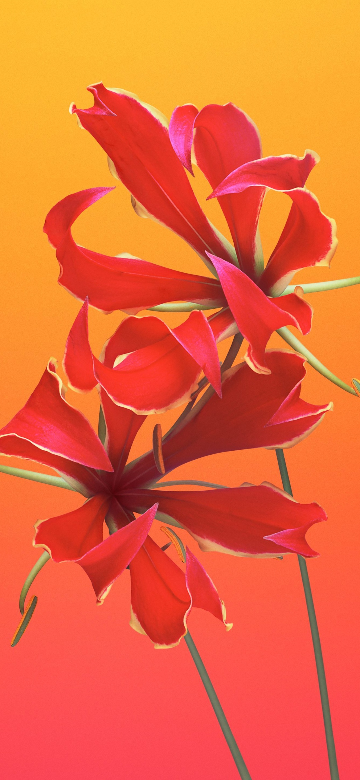 Обои iOS 11, ios, iOS 8, яблоко, iOS 14 в разрешении 1242x2688