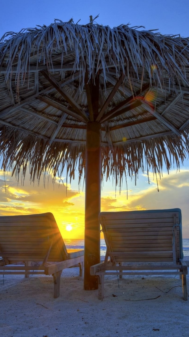 Обои океан, море, горизонт, Пальма, отпуск в разрешении 720x1280