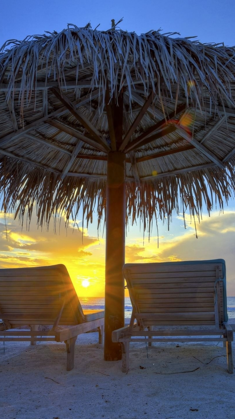 Обои океан, море, горизонт, Пальма, отпуск в разрешении 750x1334