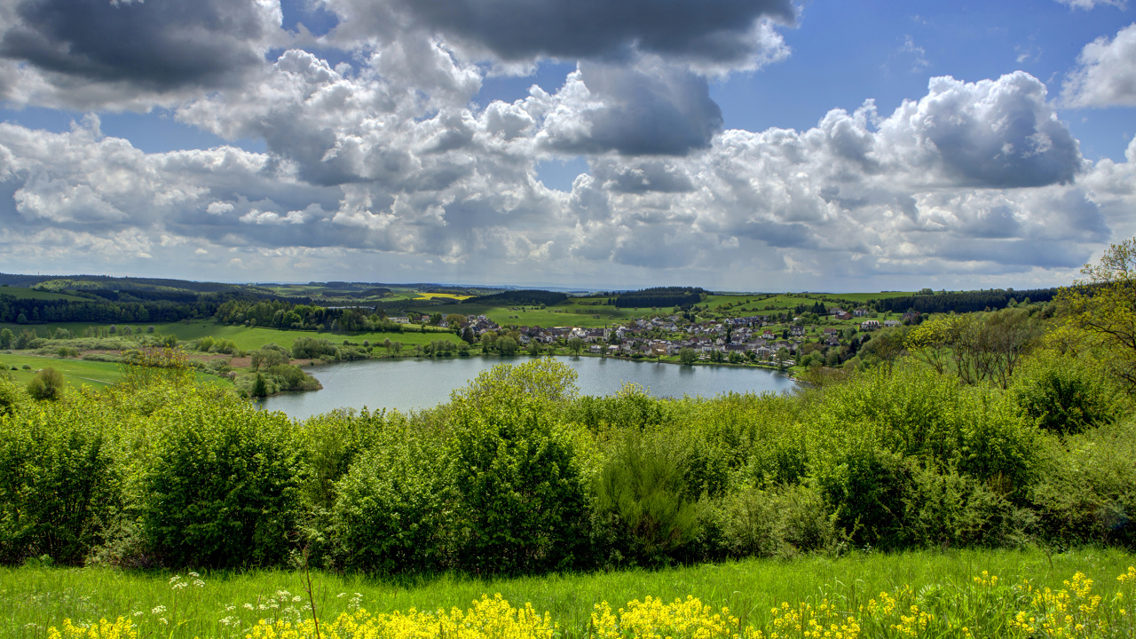 Обои пейзажная живопись, поле, природный ландшафт, природа, сенокосное угодье в разрешении 1280x720