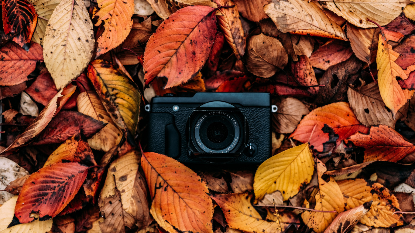 Обои осень, камера, лист, красочность, натюрморт в разрешении 1366x768