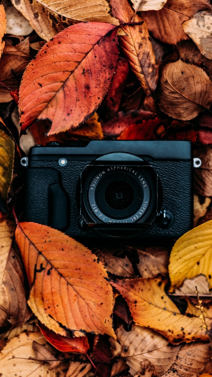 Обои осень, камера, лист, красочность, натюрморт в разрешении 720x1280