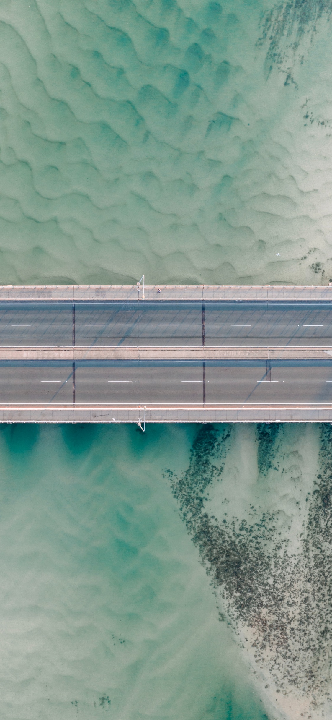 Обои Аква, черный и белый, зеленый, земля, синий в разрешении 1125x2436