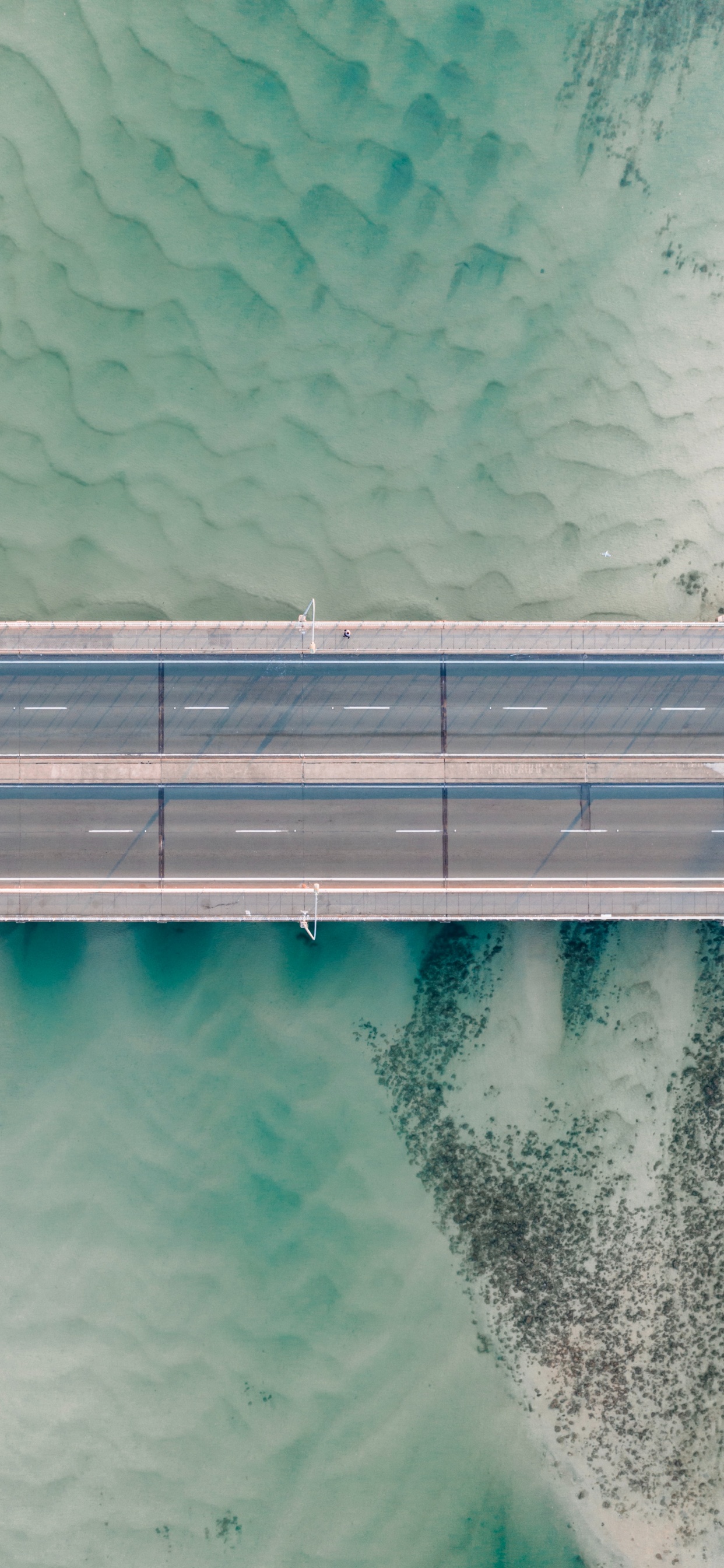 Обои Аква, черный и белый, зеленый, земля, синий в разрешении 1242x2688