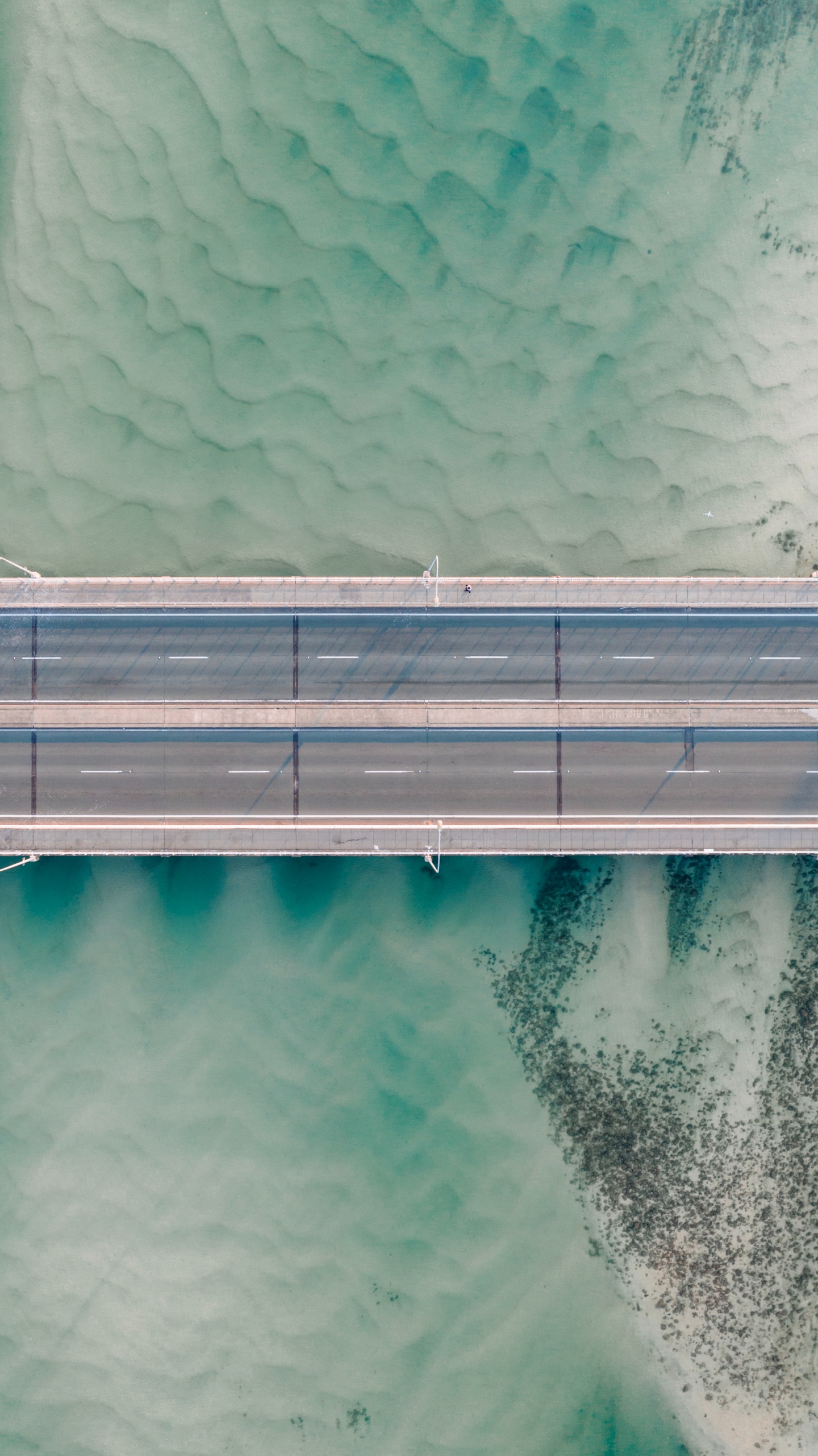 Обои Аква, черный и белый, зеленый, земля, синий в разрешении 1440x2560