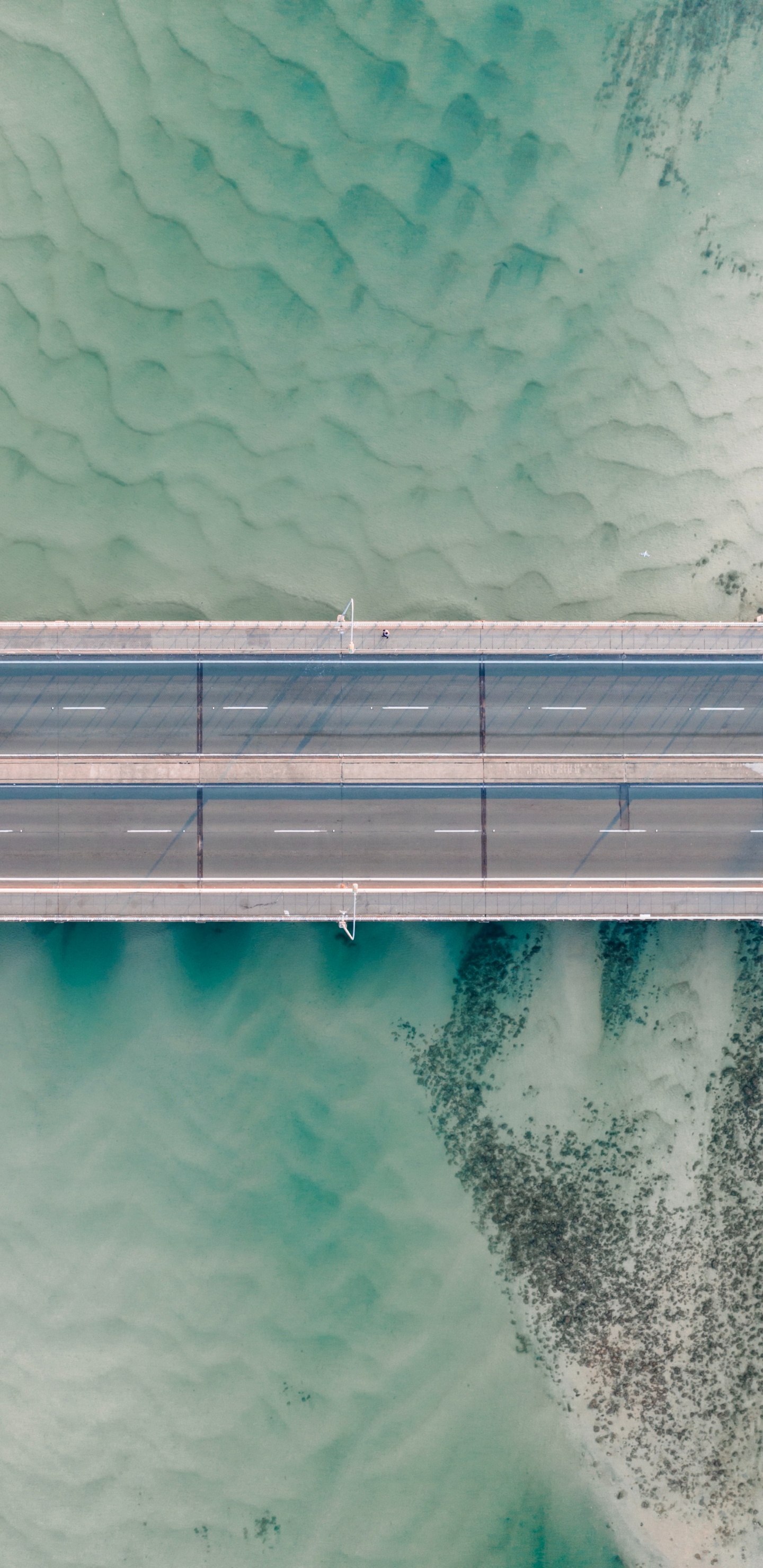 Обои Аква, черный и белый, зеленый, земля, синий в разрешении 1440x2960