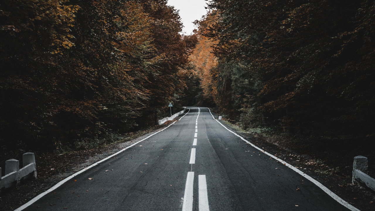 Обои дорога, черный, асфальт, переулок, дерево в разрешении 1280x720