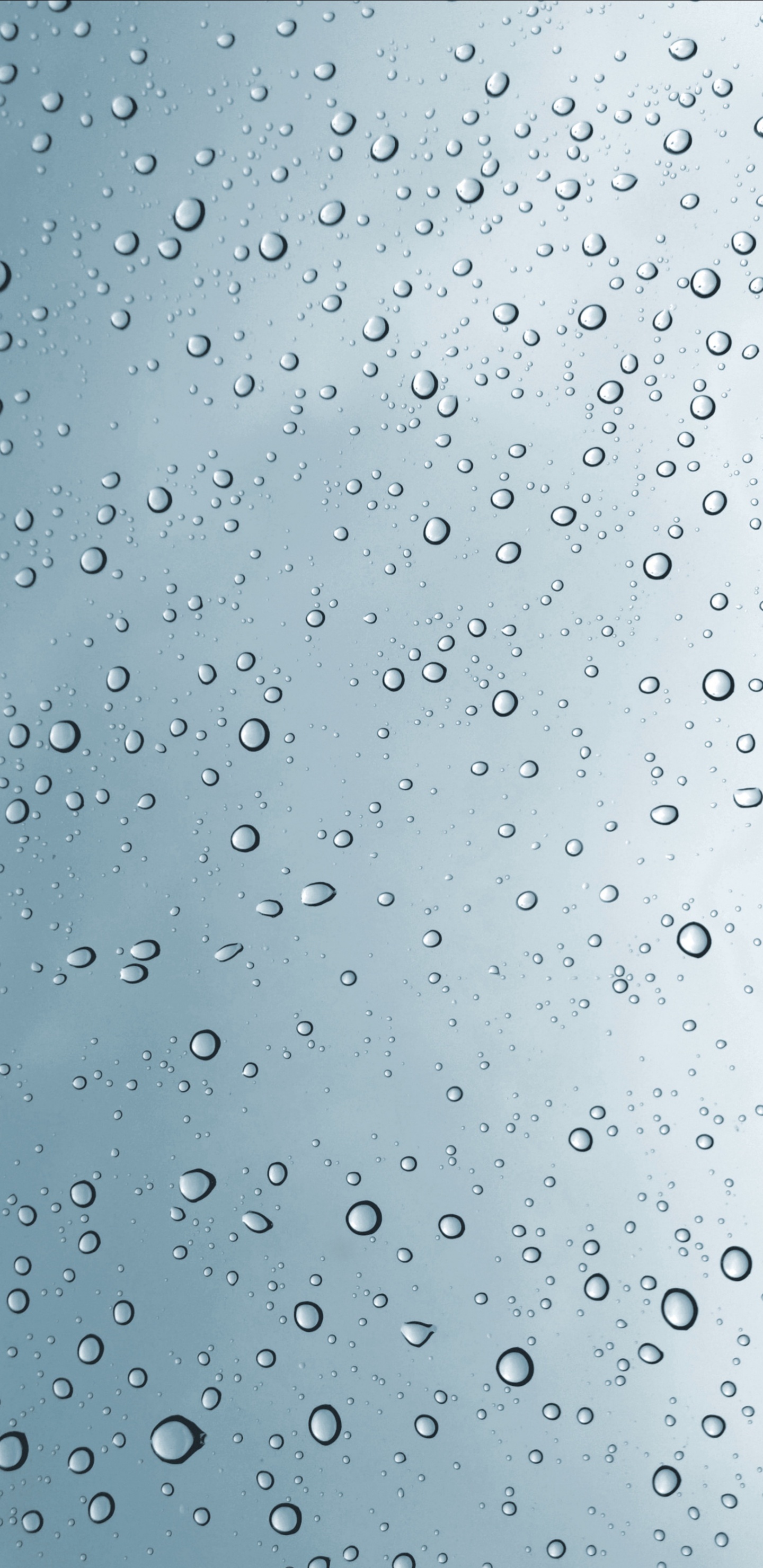 Обои влага, вода, падение, мелкий дождь, дождь в разрешении 1440x2960