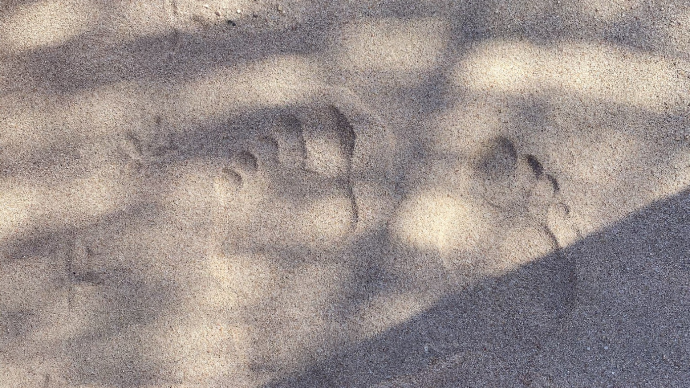 Обои атмосфера, дорожное покрытие, древесина, автомобильные шины, асфальт в разрешении 1366x768