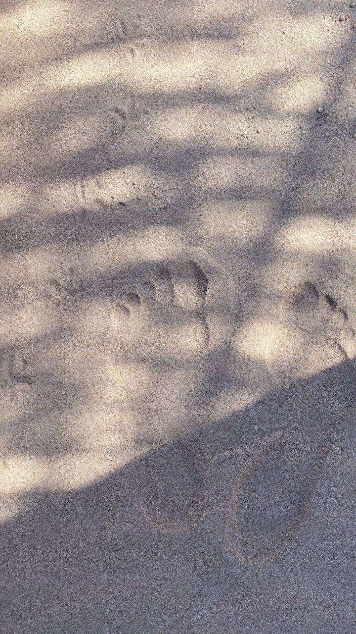 Обои атмосфера, дорожное покрытие, древесина, автомобильные шины, асфальт в разрешении 720x1280